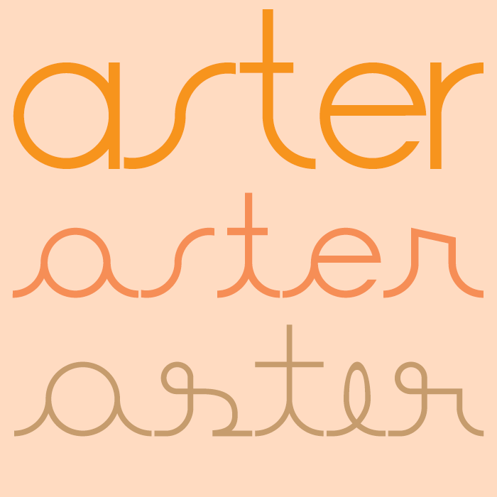 Aster illustration 1