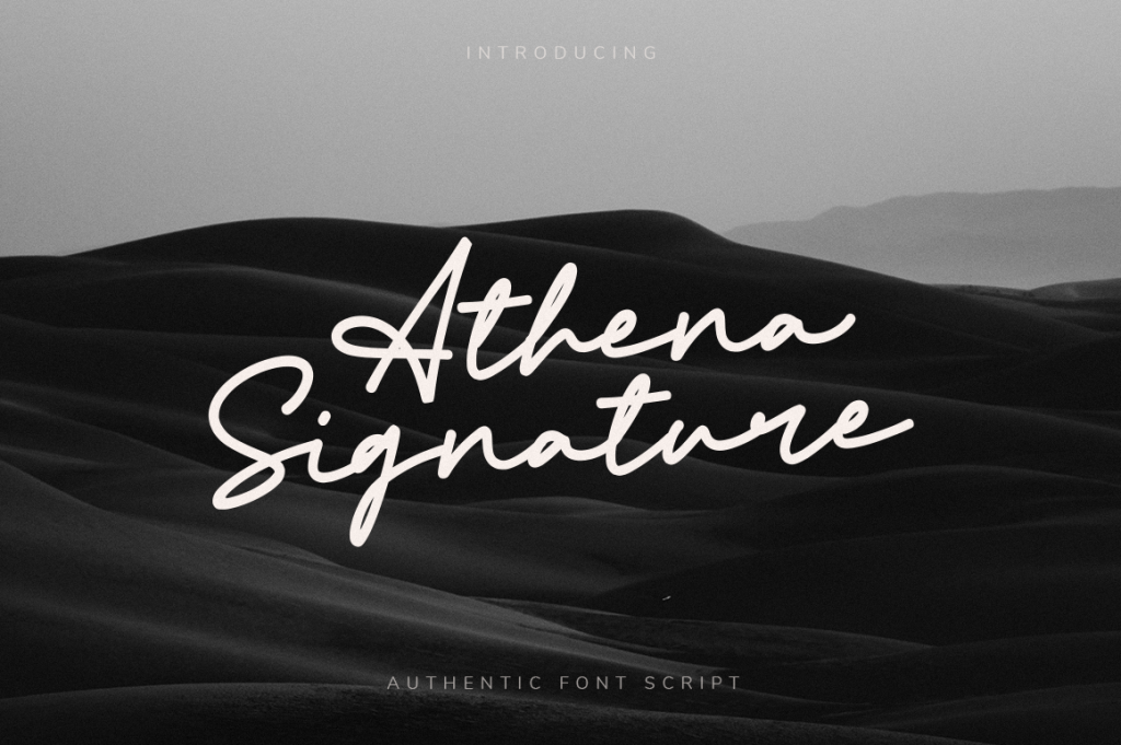 Athena Signature illustration 2