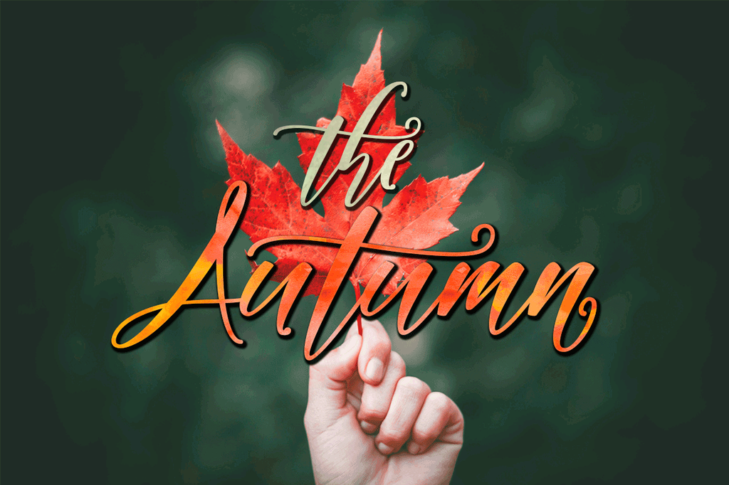 Autumn illustration 7