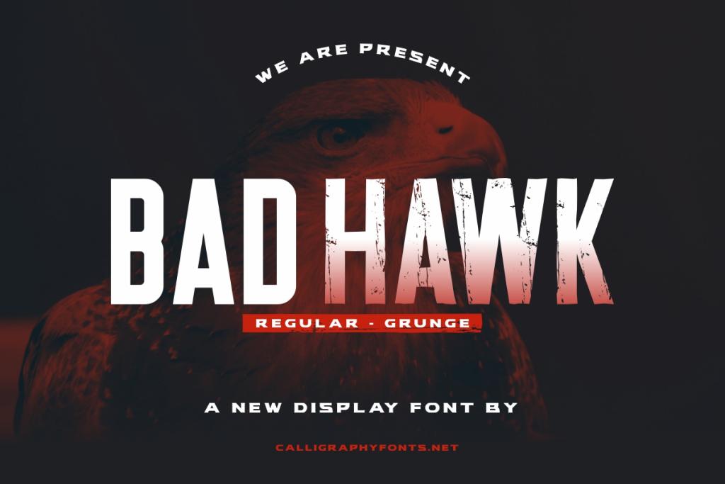 Bad Hawk Demo illustration 2