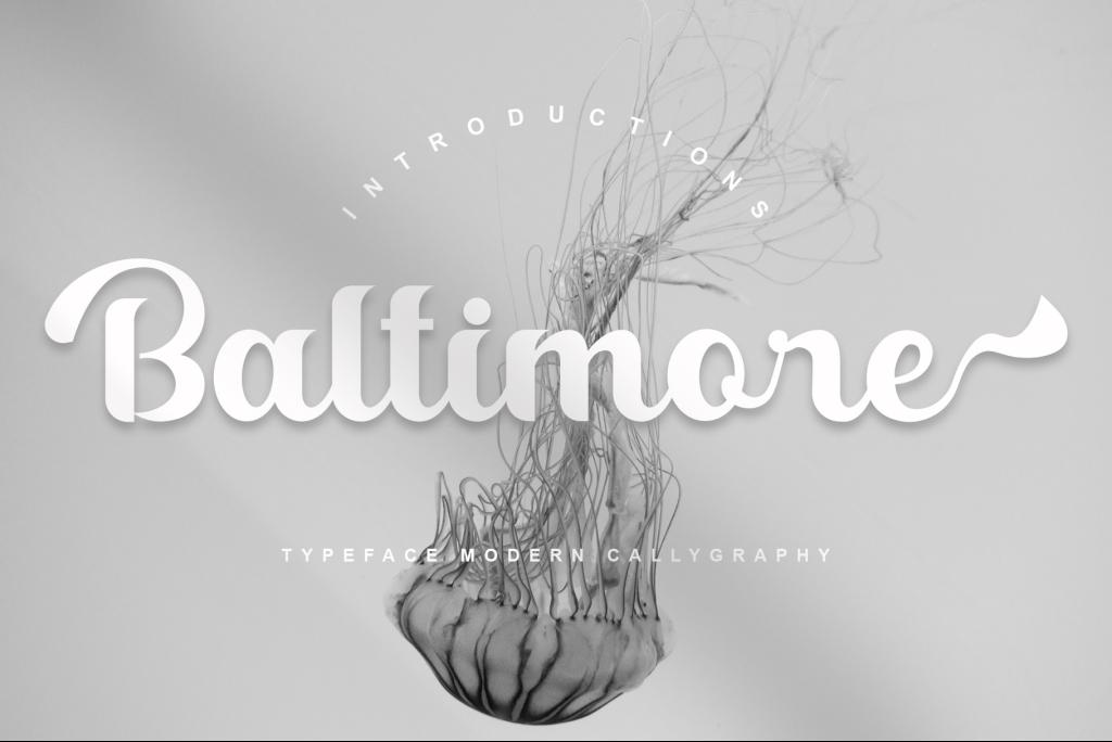 Baltimore illustration 2