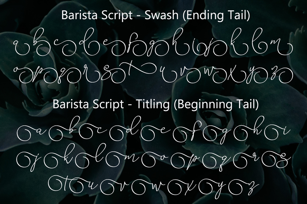 Barista Script illustration 4