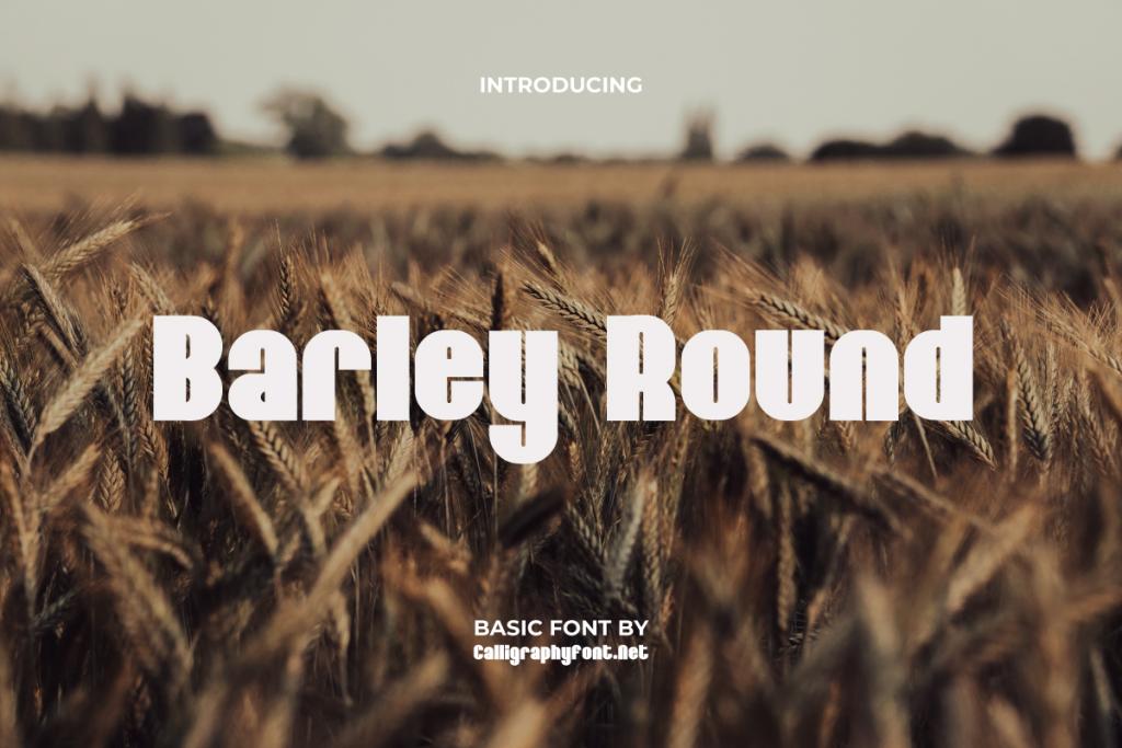 Barley Round Demo illustration 2