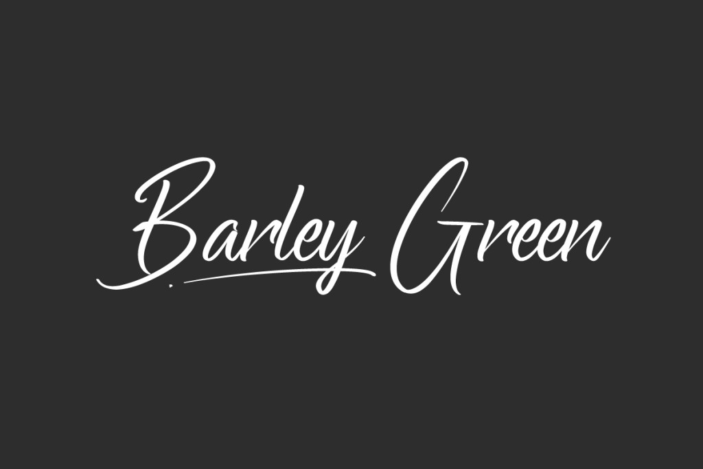 Bartley Green Demo illustration 2