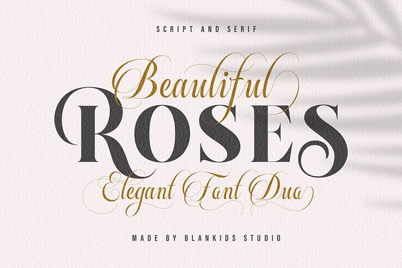 Beautiful Roses illustration 1
