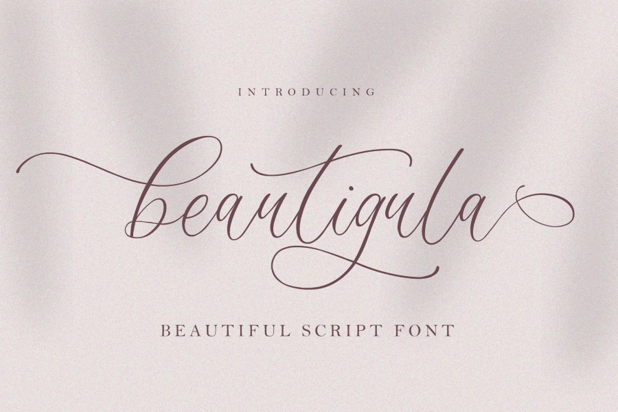 Beautigula Font · 1001 Fonts