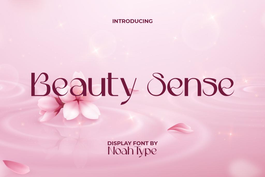 Beauty Sense Demo illustration 2