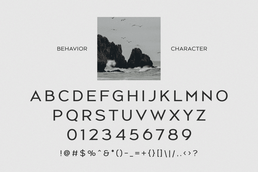 Behavior Font · 1001 Fonts