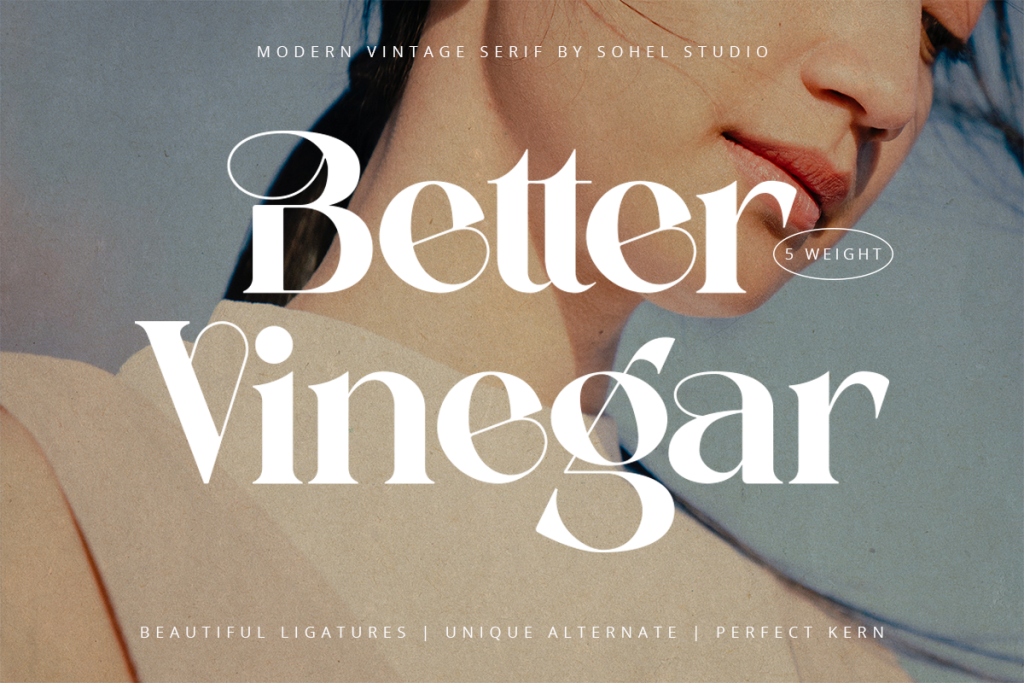Better Vinegar Demo illustration 2