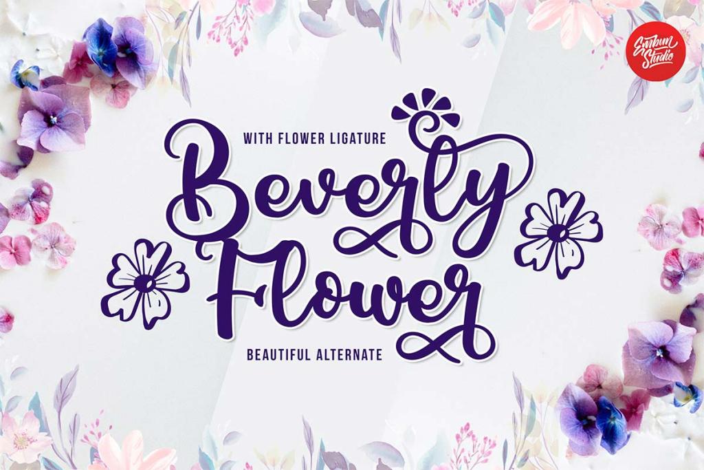 Beverly Flower Demo illustration 3