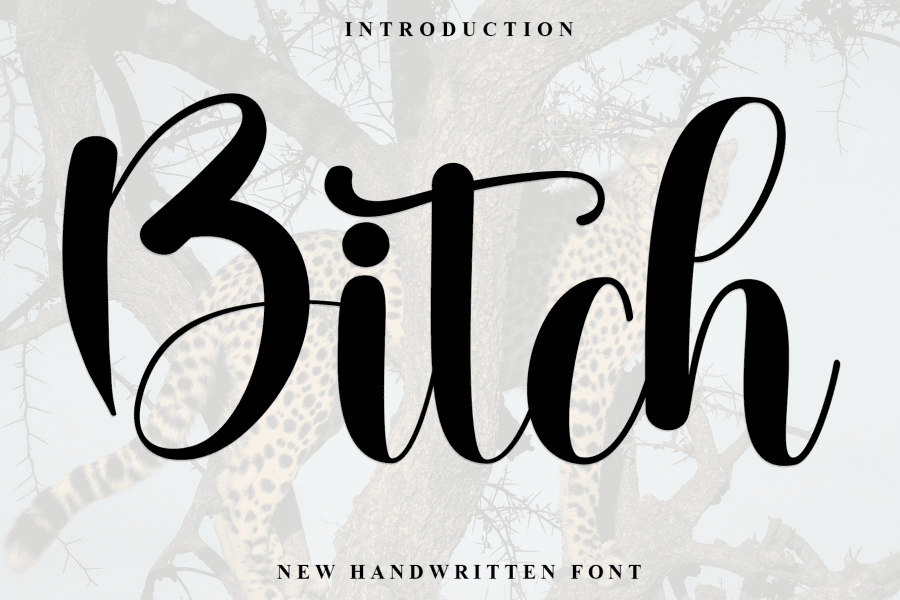 Bitch Font · 1001 Fonts