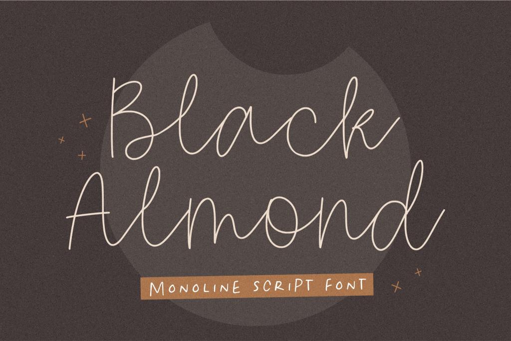 Black Almond illustration 5