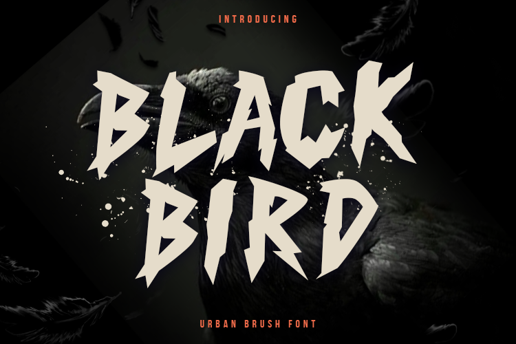 Black Bird illustration 1