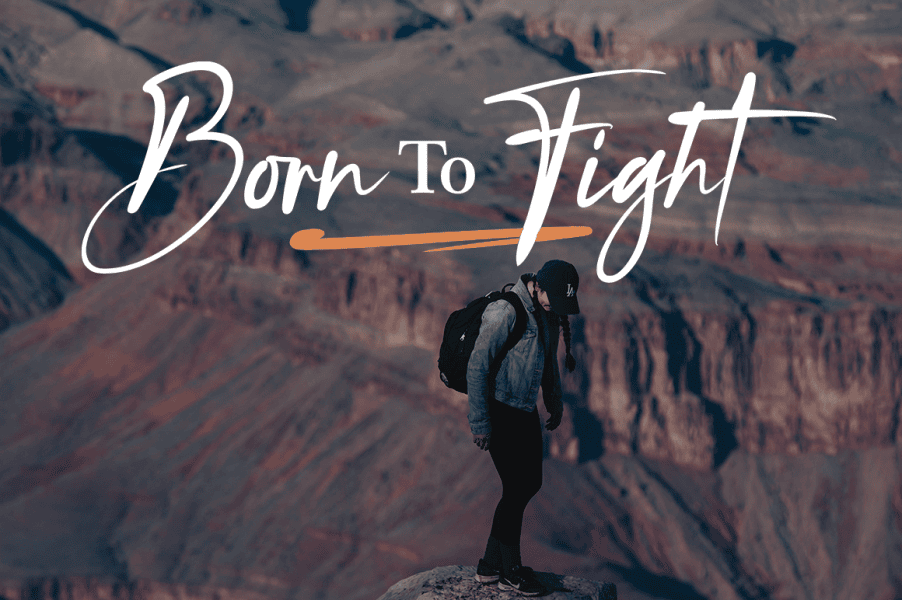 Black Bone Script Font · 1001 Fonts