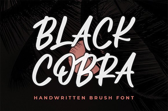BLACK COBRA illustration 2