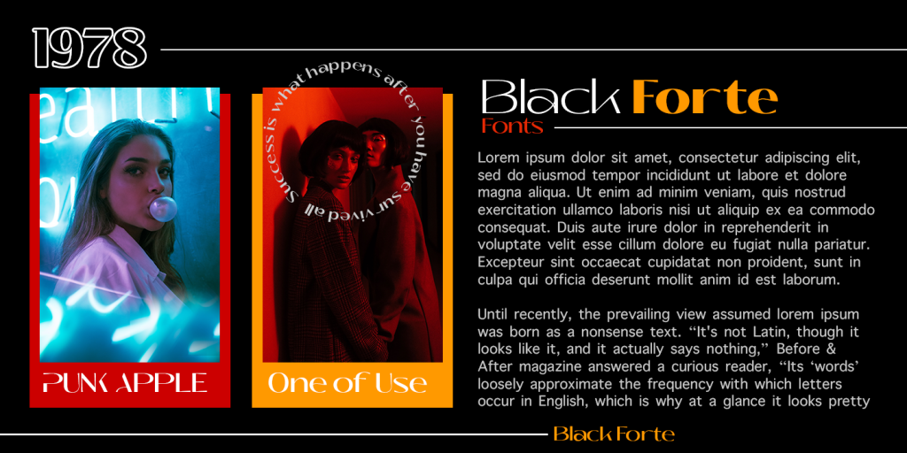 Black Forte Demo illustration 8
