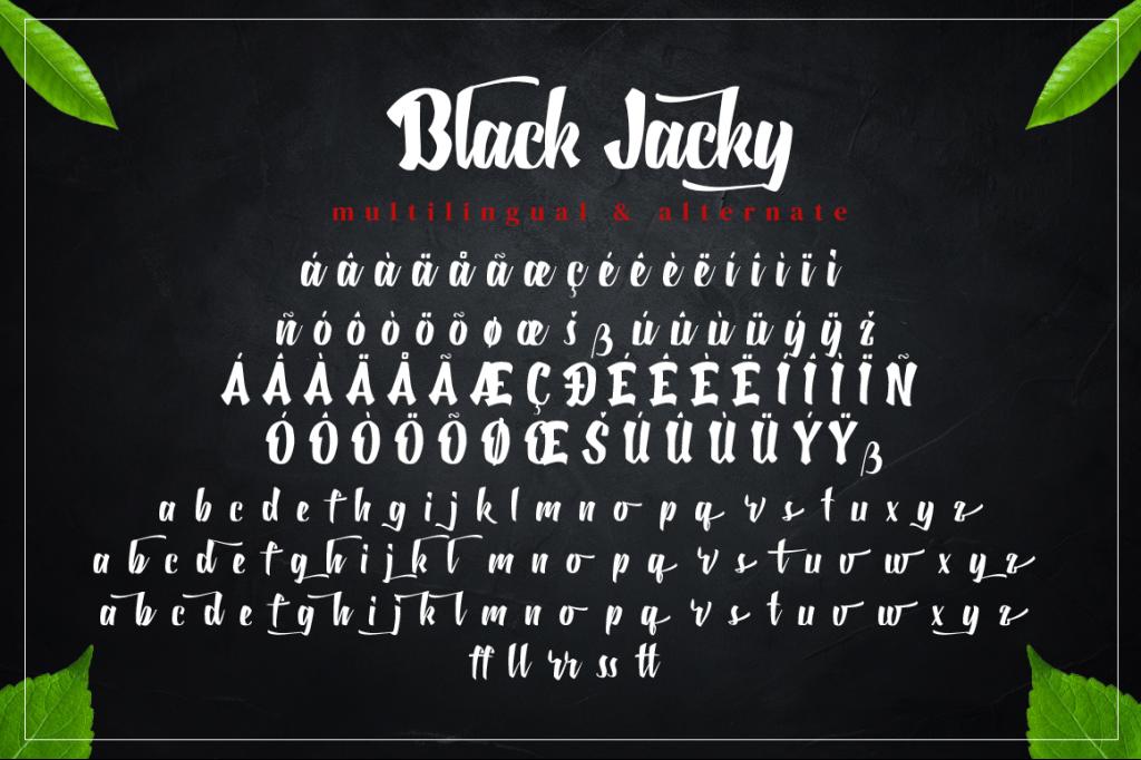 Black Jacky illustration 12