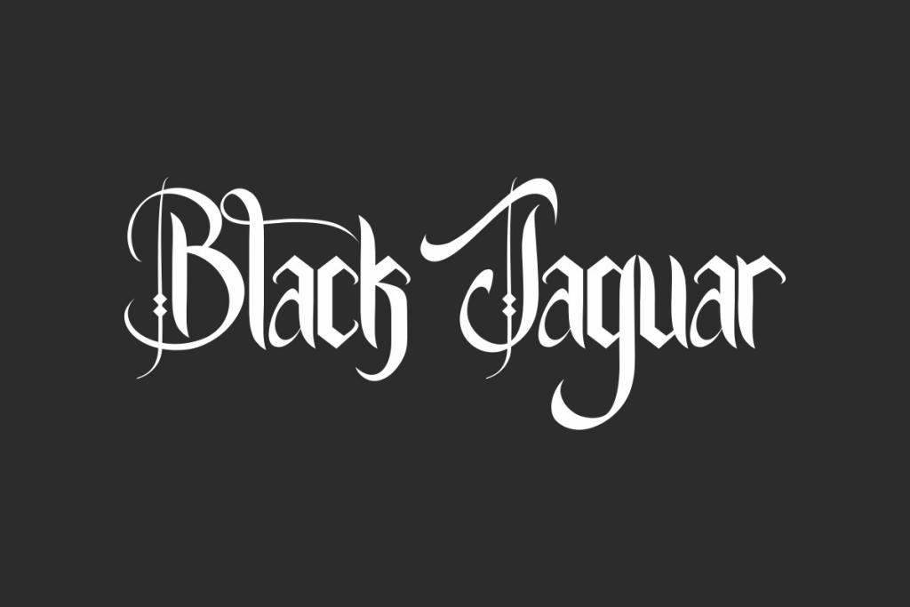 Black Jaguar Demo illustration 2
