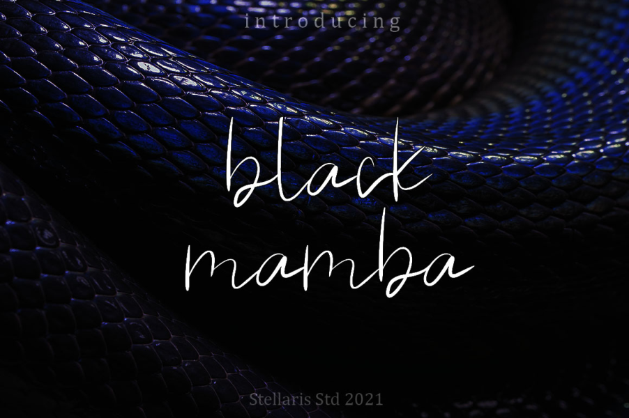 black mamba Font · 1001 Fonts