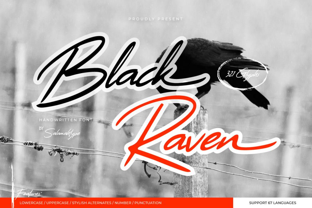 Black Raven illustration 4