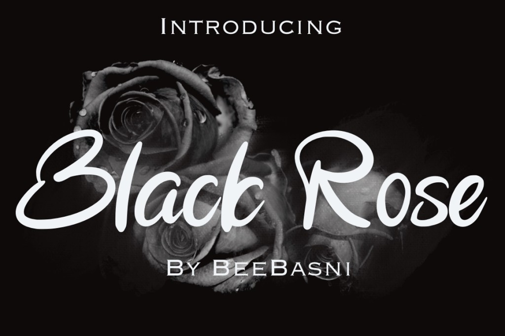 Black Rose illustration 7