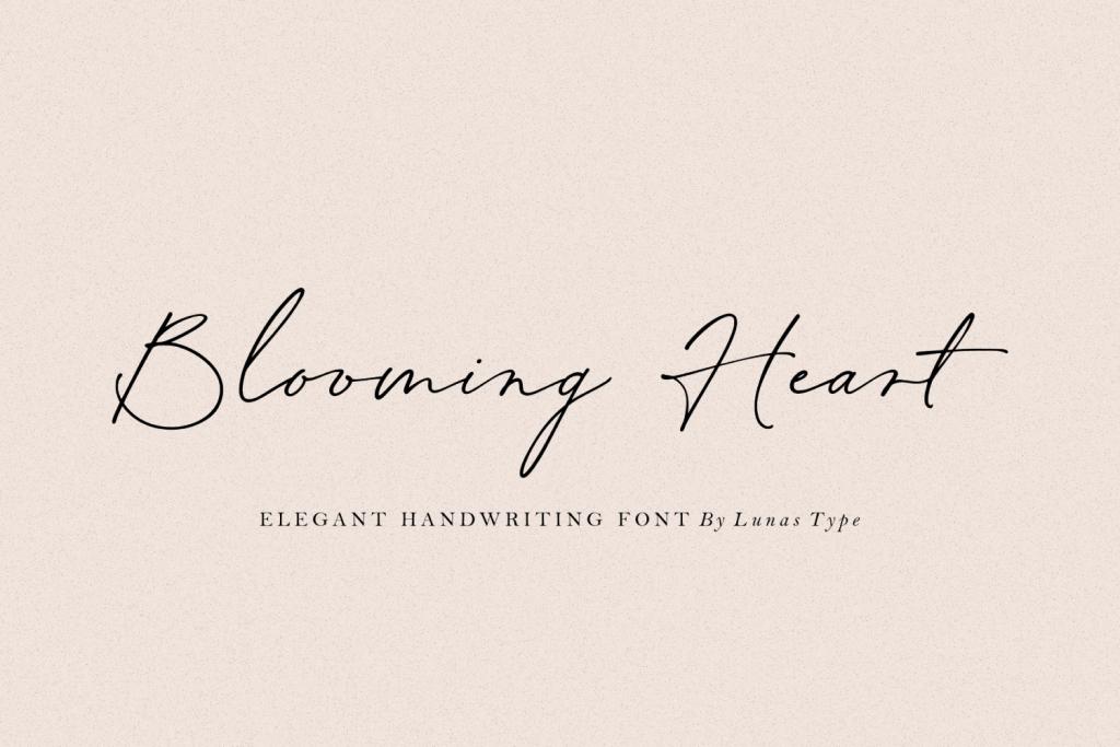 Blooming Heart illustration 2