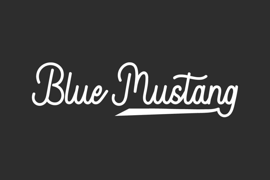 Blue Mustang Demo illustration 2