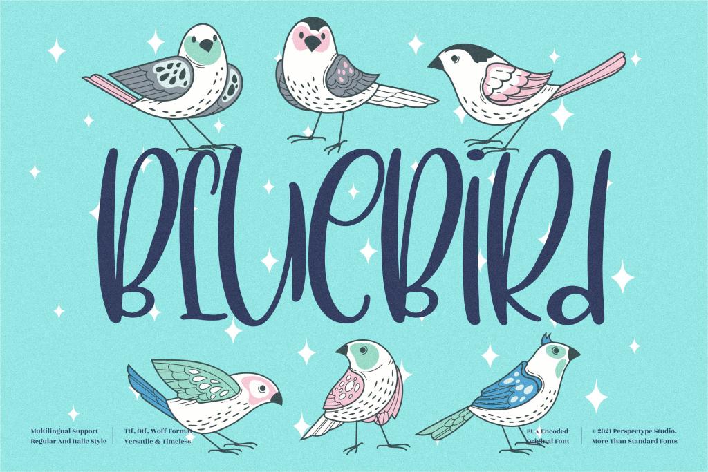 BlueBird illustration 2