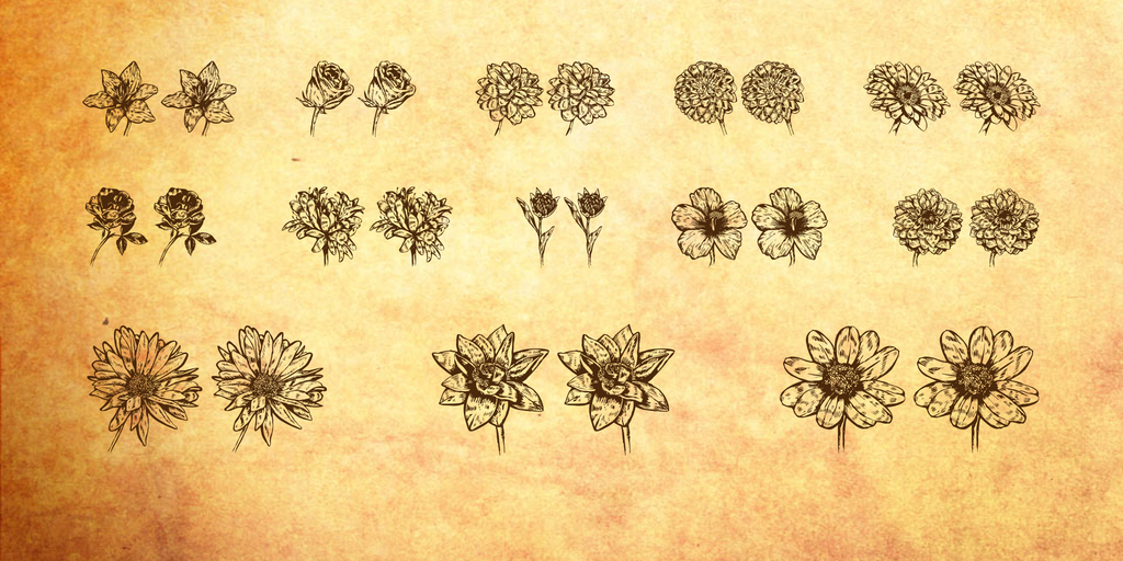 Blumen illustration 2