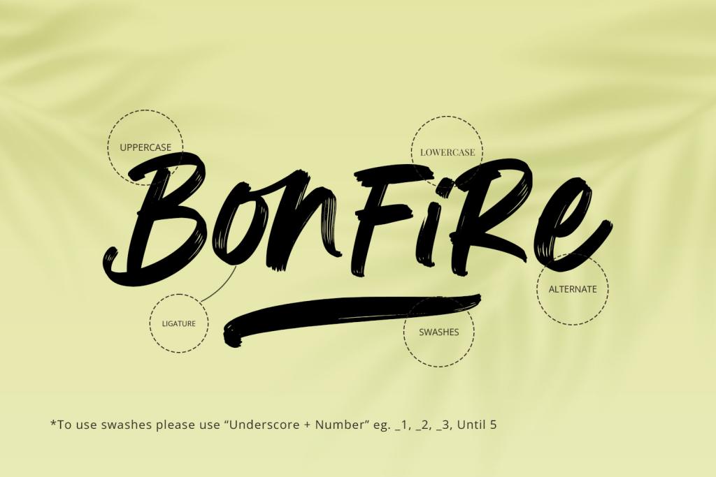 Bonfire illustration 4