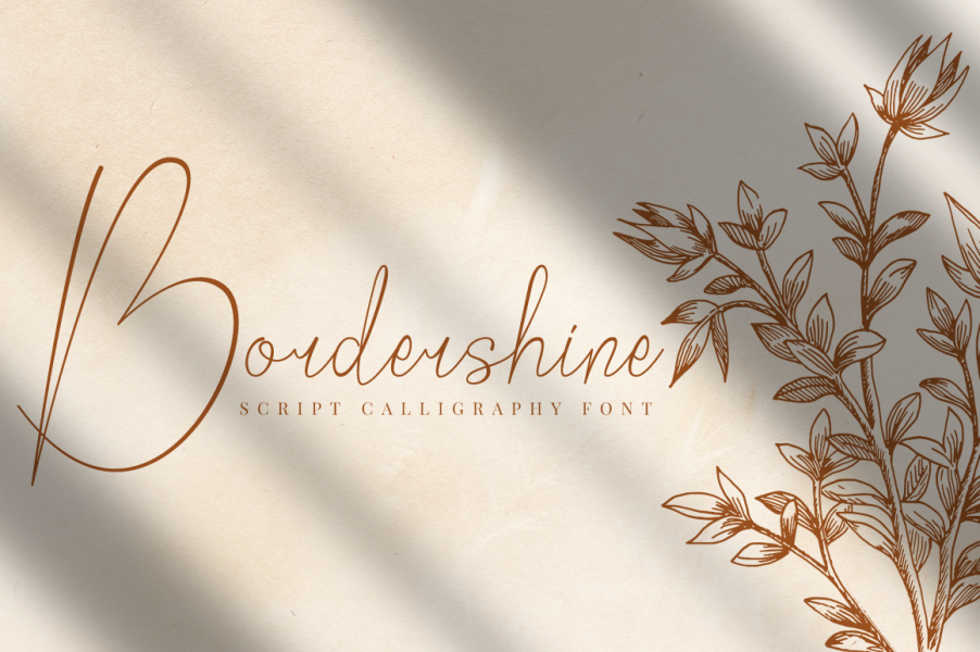 Bordershine Script Font · 1001 Fonts Bordershine Script Font · 1001 Fonts