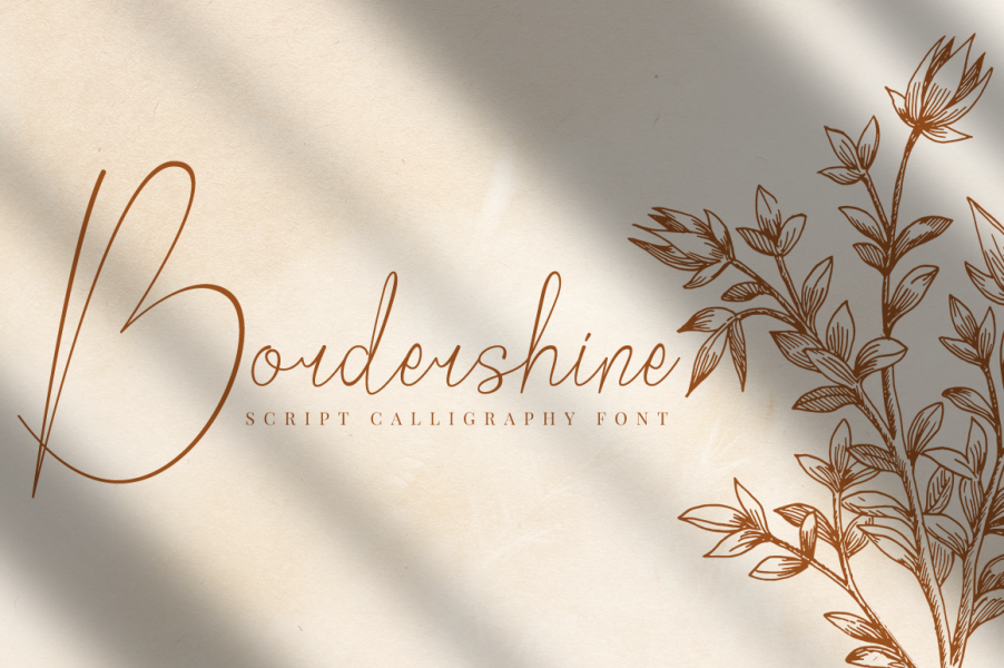 Bordershine Script illustration 16