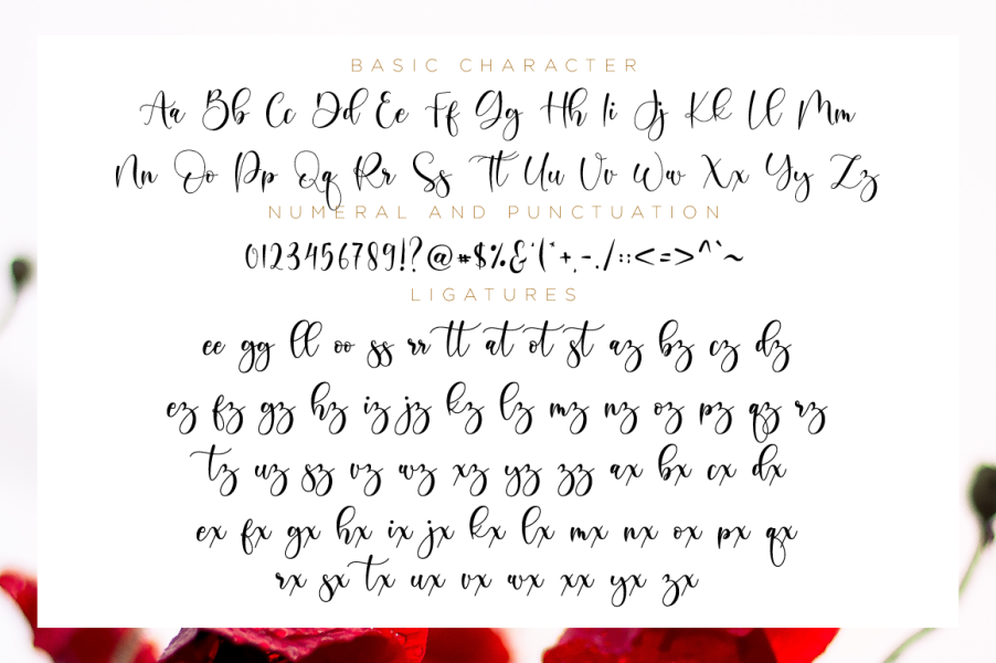 Boshela Font · 1001 Fonts Boshela Font · 1001 Fonts