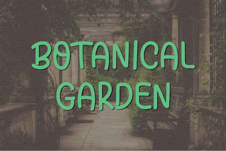 Botanical Garden illustration 2