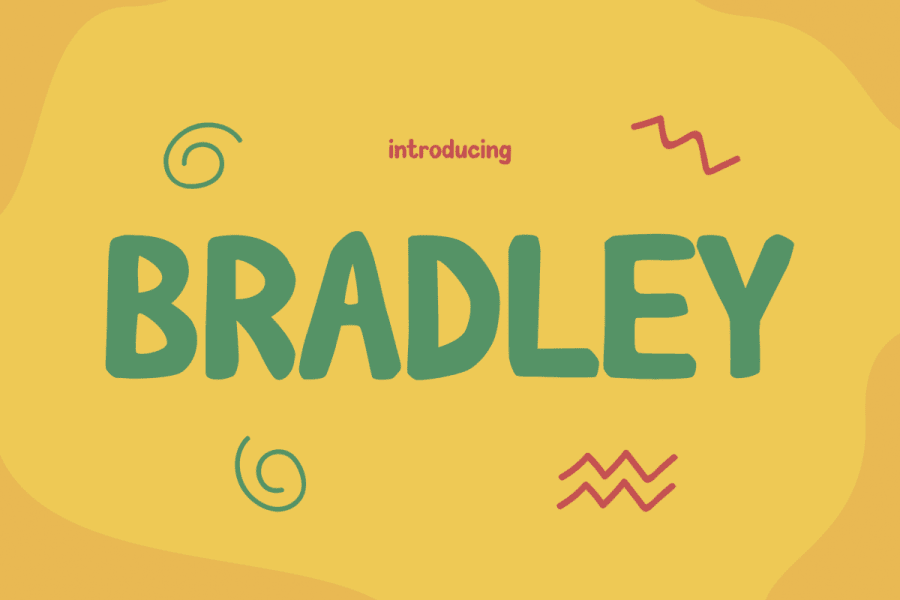 BRADLEY illustration 2