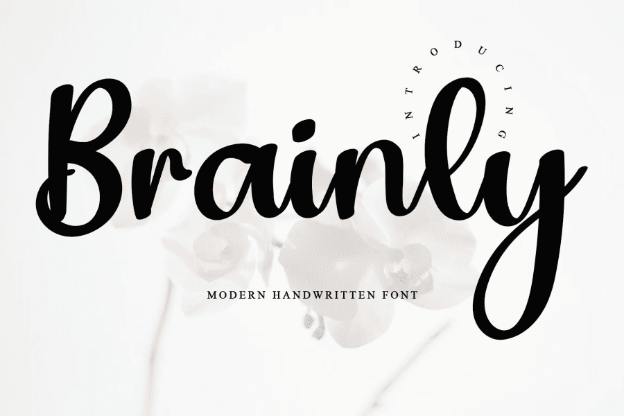 Brainly Font · 1001 Fonts
