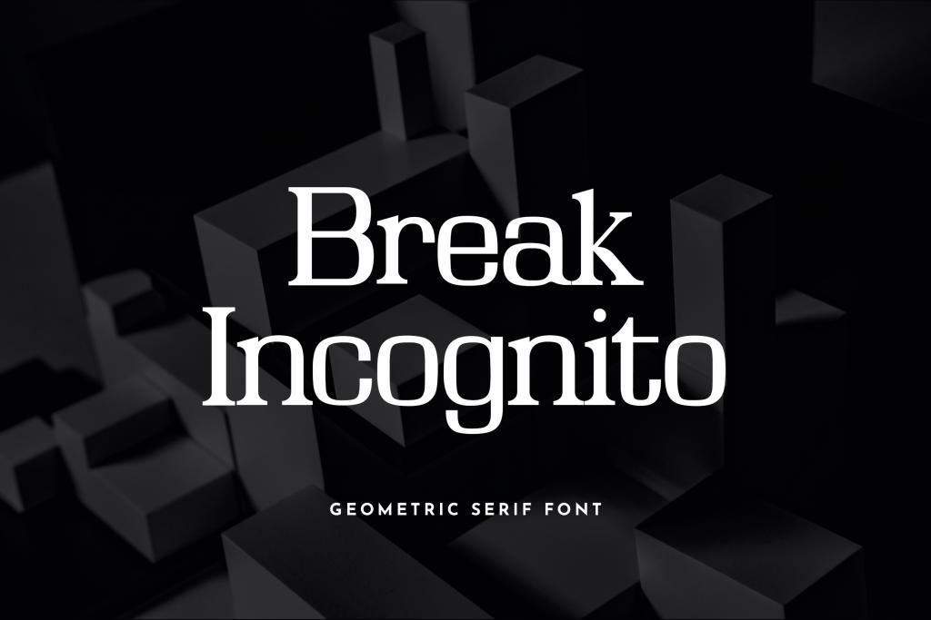 Break Icognito illustration 2