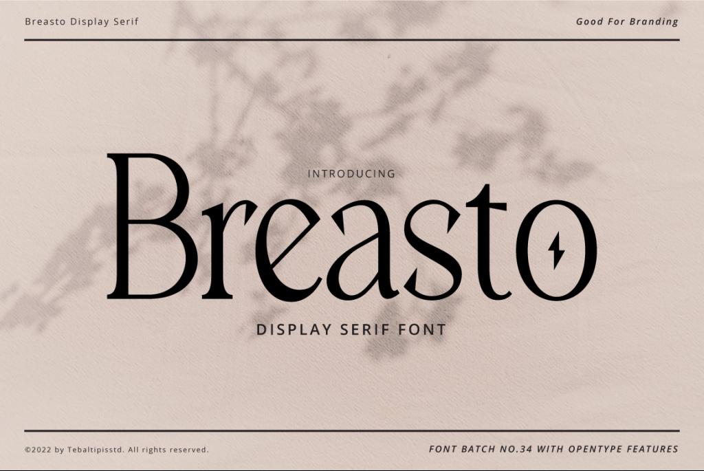 Breasto Display illustration 2