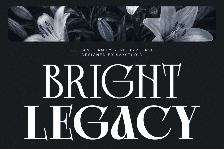 Small R Font Style Bright Legacy DEMO Font · 1001 Fonts