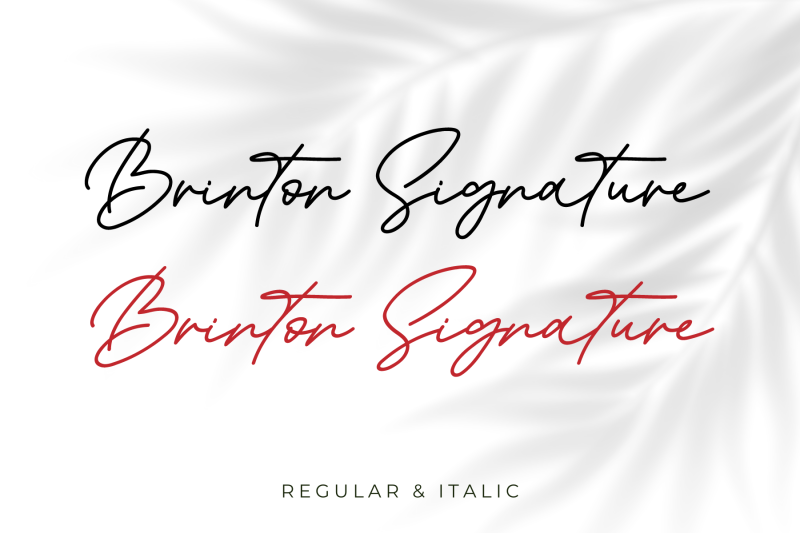 Brinton Signature illustration 7