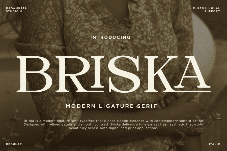 Briska Demo Font · 1001 Fonts