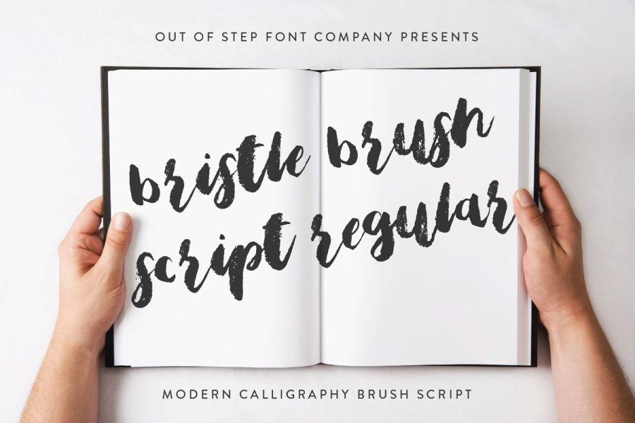 Bristle Brush Script Demo Font · 1001 Fonts