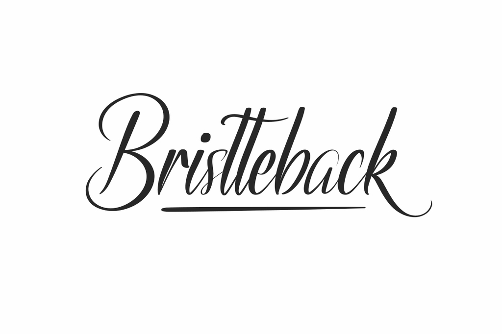 Bristteback Demo illustration 7