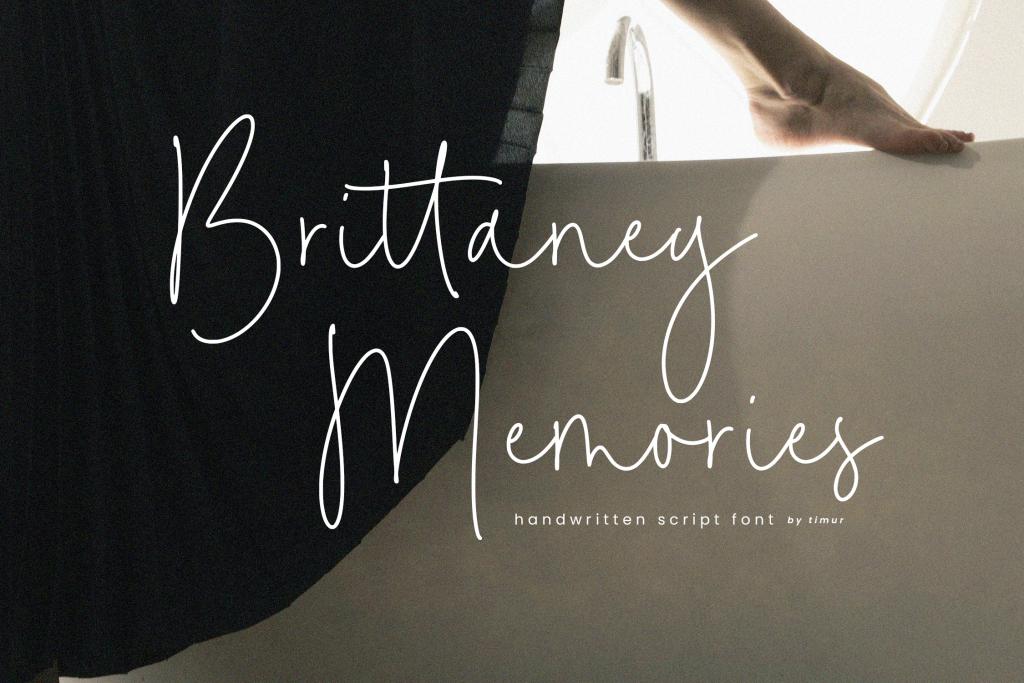 Brittaney Memories illustration 8