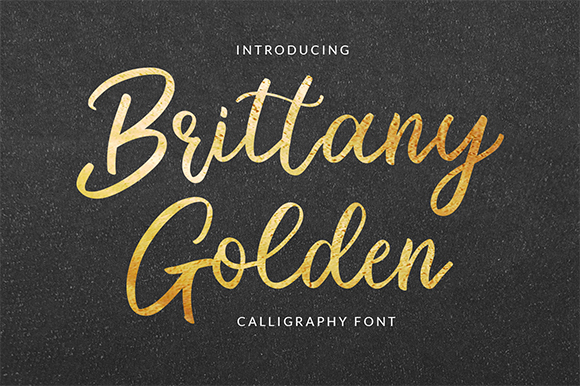 Brittany Golden illustration 2