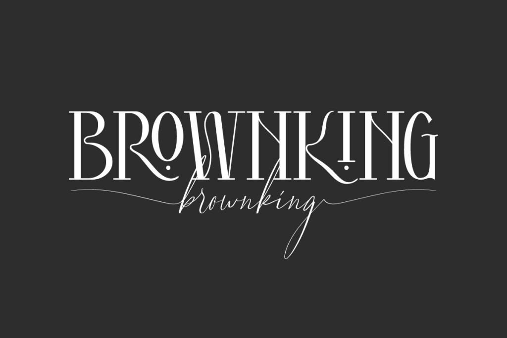 Brownking Demo illustration 2