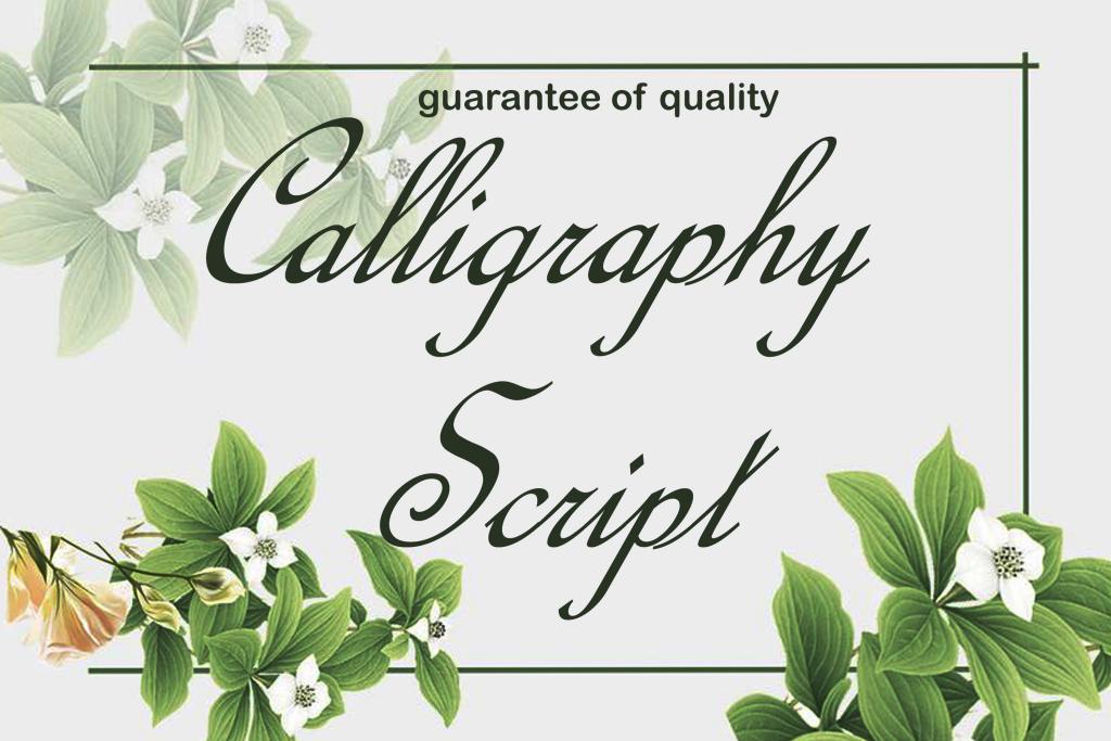 Calligraphy Script illustration 2