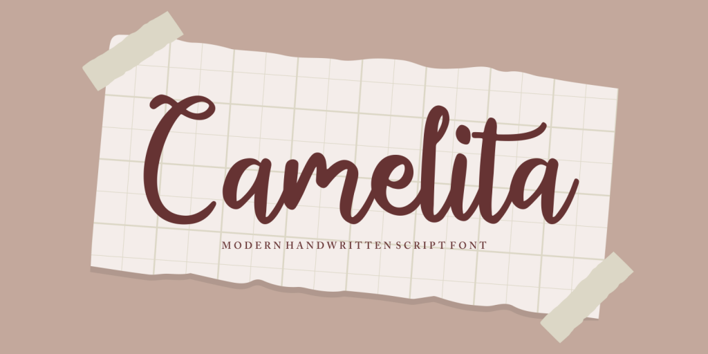 Camelita Demo illustration 2