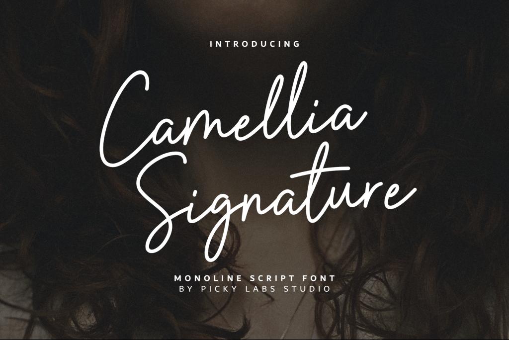 Camellia Signature DEMO! illustration 3