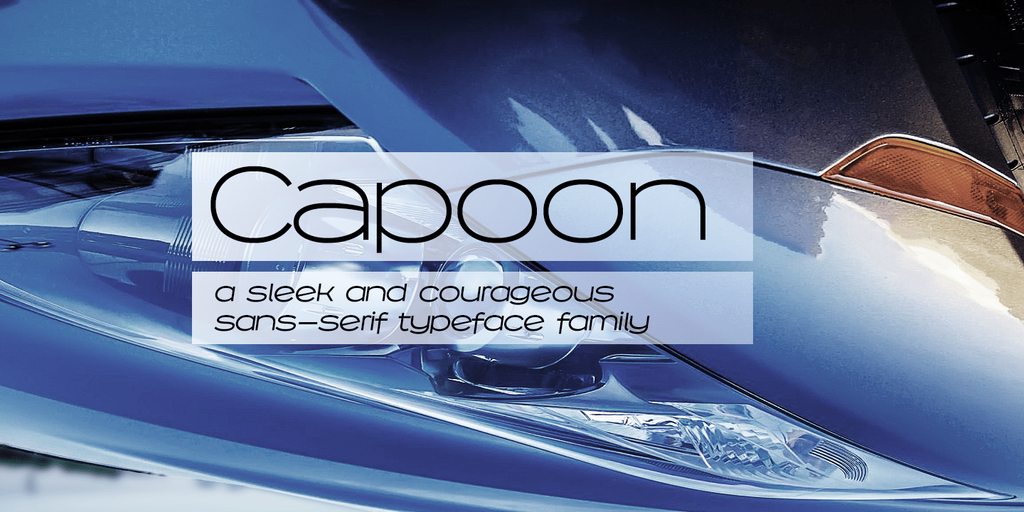 Capoon PERSONAL USE illustration 2